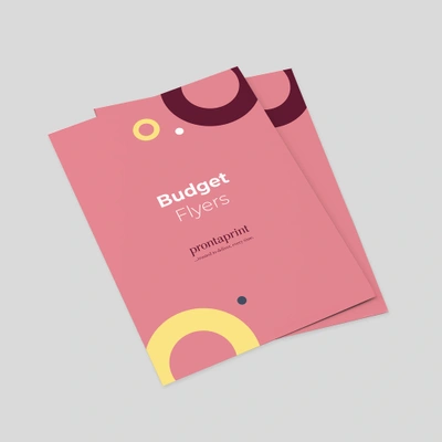 An example of a finished budget flyer