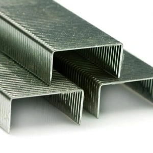  Image - Staples - Finish - Print - 300x300