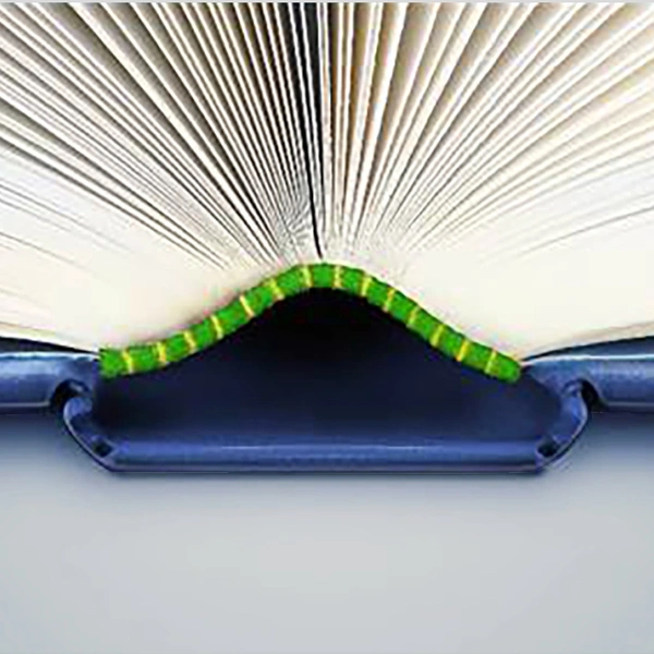 An example of thread sewn pages