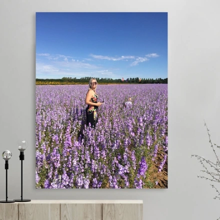 A3 Confetti Field Print